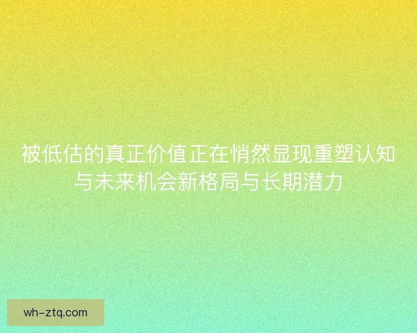 被低估的真正价值正在悄然显现重塑认知与未来机会新格局与长期潜力
