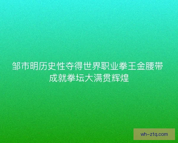 邹市明历史性夺得世界职业拳王金腰带 成就拳坛大满贯辉煌