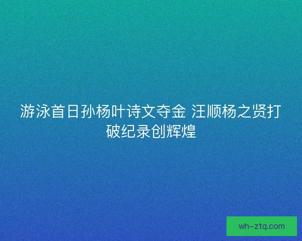 游泳首日孙杨叶诗文夺金 汪顺杨之贤打破纪录创辉煌