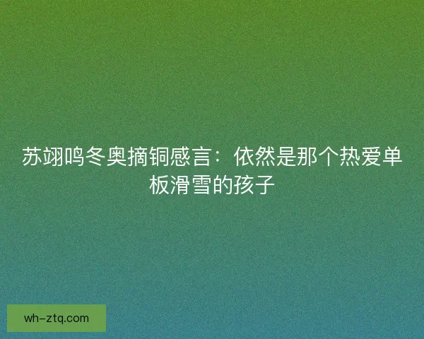 苏翊鸣冬奥摘铜感言:依然是那个热爱单板滑雪的孩子 苏翊鸣冬奥摘铜感言:依然是那个热爱单板滑雪的孩子