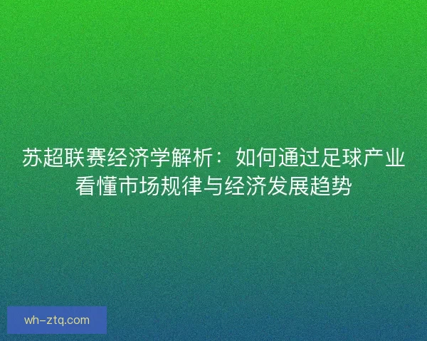 苏超联赛经济学解析：如何通过足球产业看懂市场规律与经济发展趋势