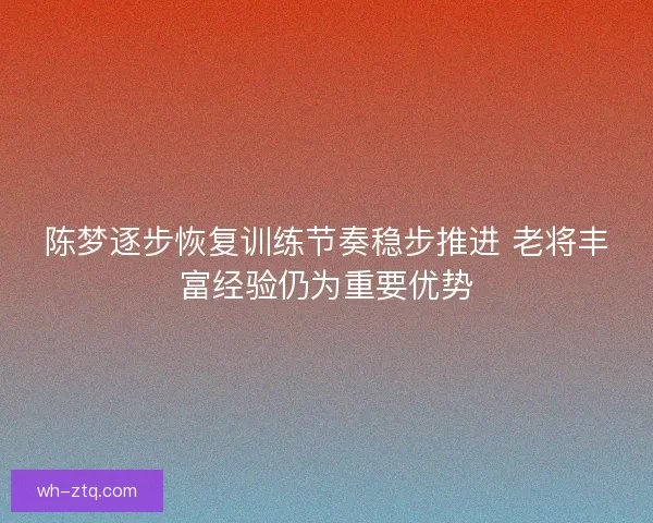 陈梦逐步恢复训练节奏稳步推进 老将丰富经验仍为重要优势