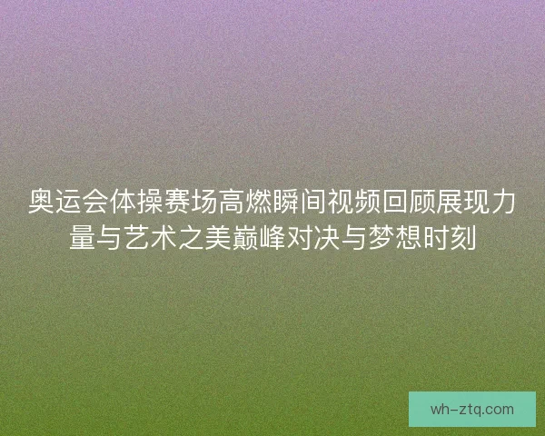 奥运会体操赛场高燃瞬间视频回顾展现力量与艺术之美巅峰对决与梦想时刻