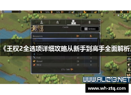 《王权2全选项详细攻略从新手到高手全面解析》